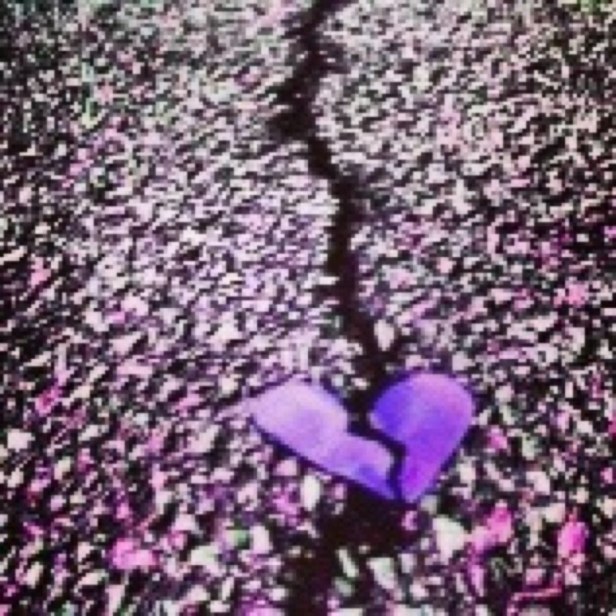 SierraPruneda's profile picture. 