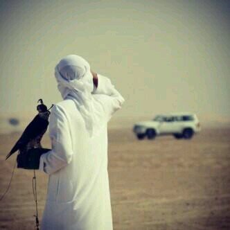 alshla7e_'s profile picture. 