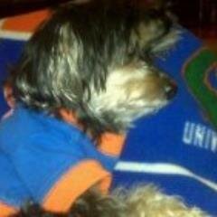 MarciaRita813's profile picture. work in progress!