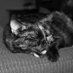 I Love Music I Love Cats I Hate Sleeping Im A Young DJ I Play Sports And I Breath Oxygen