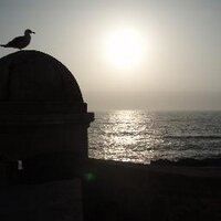 sebder 🇪🇺 (@sebder1) 's Twitter Profile