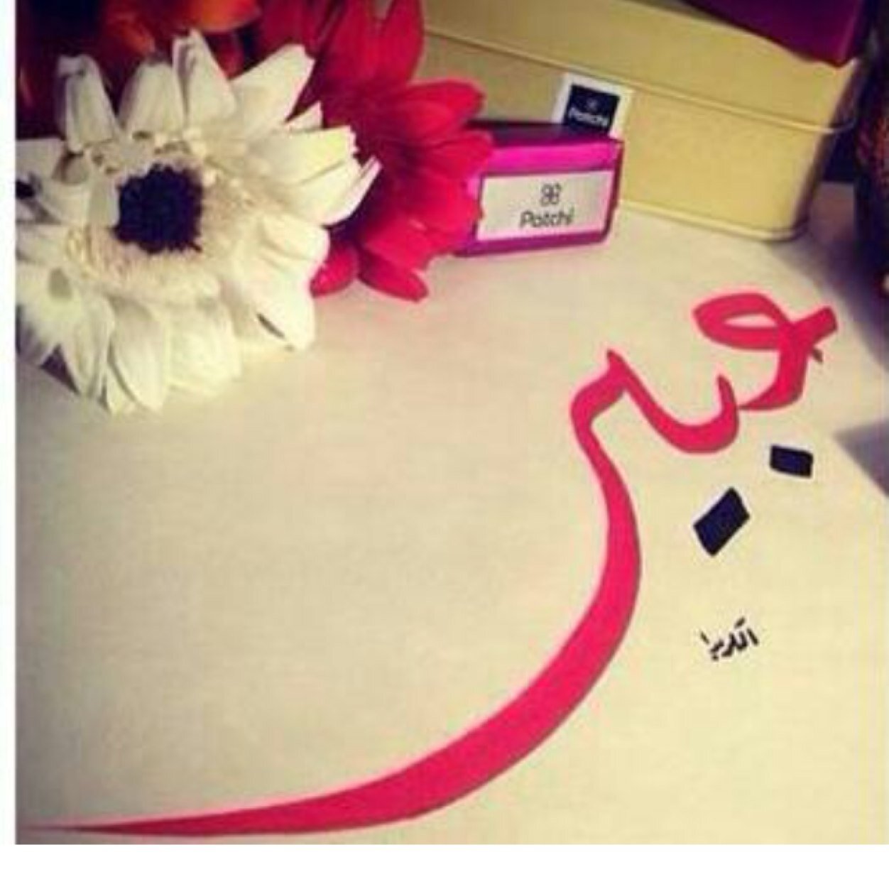 شاميه و افتخر 💚💚💚