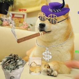 Dogecoin digger!