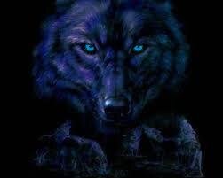 I am Sina. Wolf in particular. I follow cats and wolves. Doesn't really make a difference to me. I am ancient in the soul and run with the stars at night. •••••