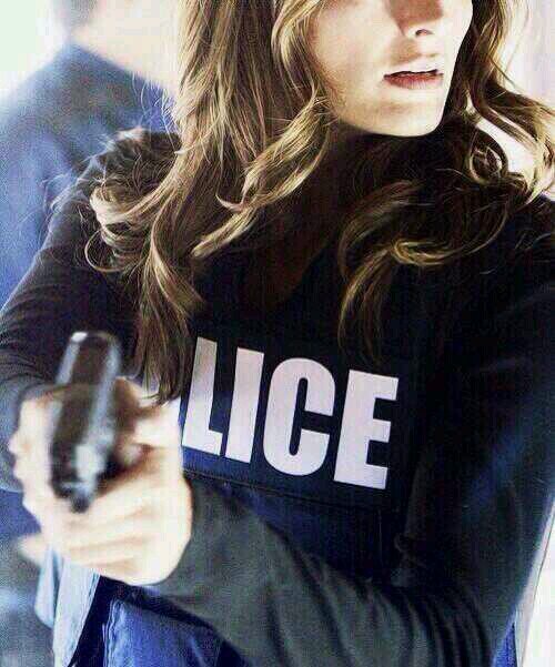 In love with Castle. Addicted to Stanathan. Fan of Caskett. I guess the question is, do you want it badly enough to get over being hurt?