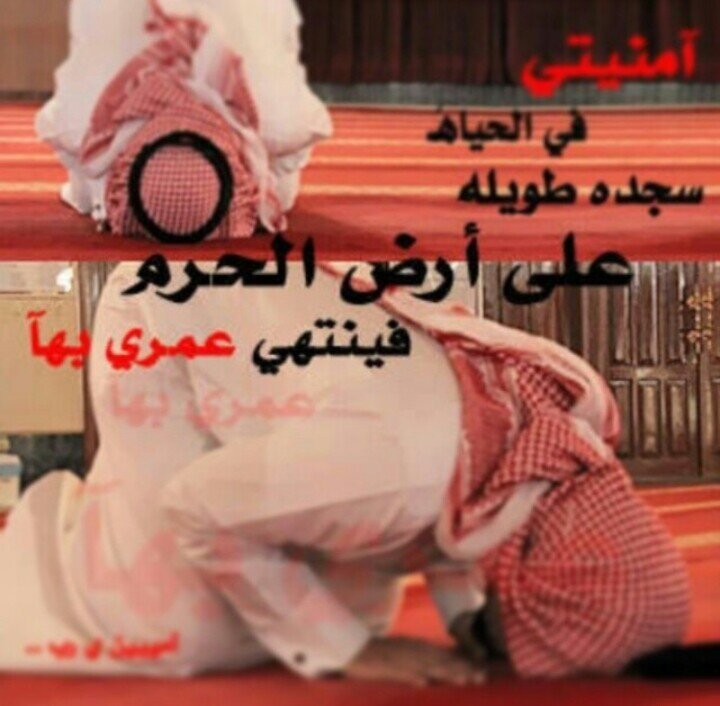 بكالوريوس تريية فنية