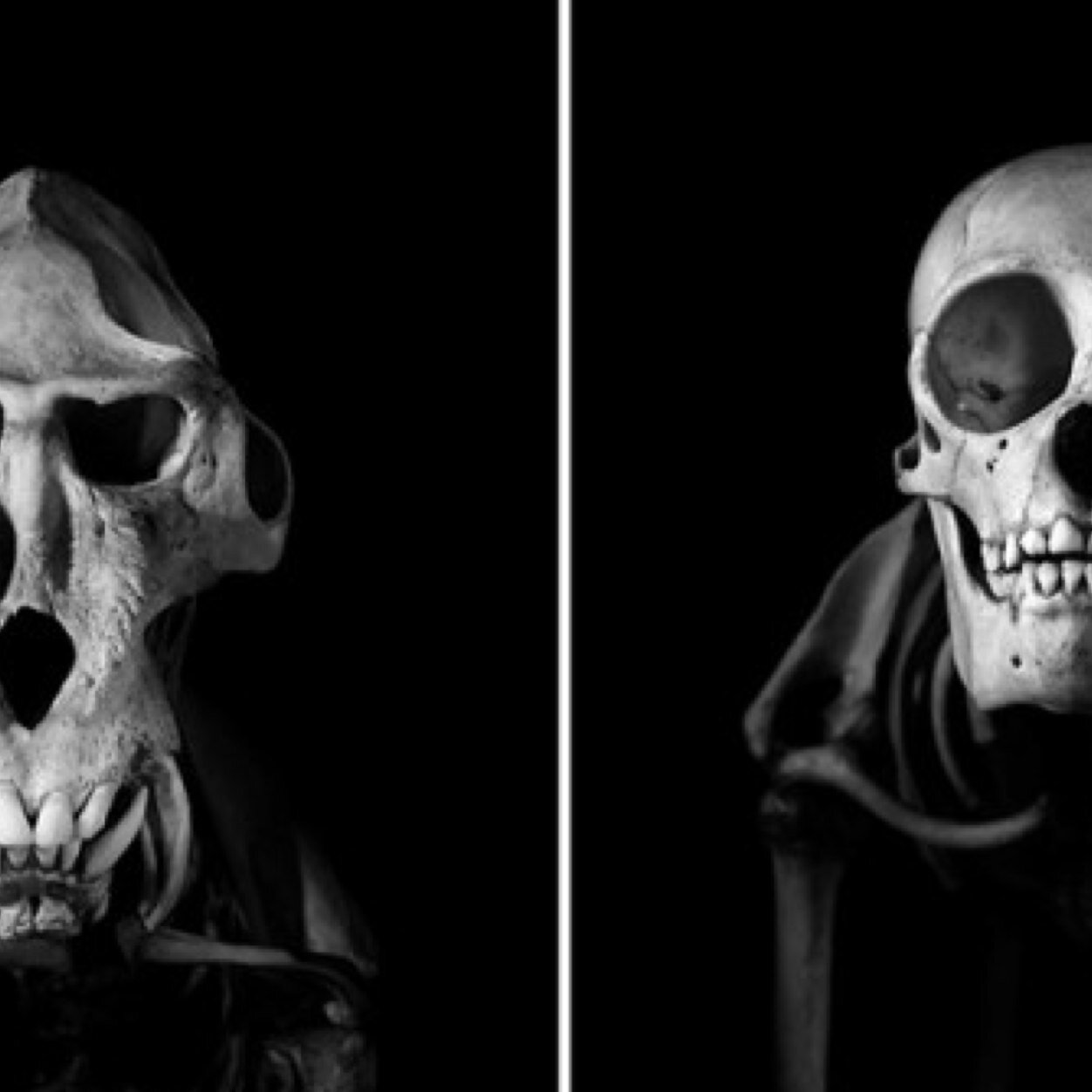 rcheomatic's profile picture. 