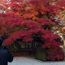 きー (@02v09v03) Twitter