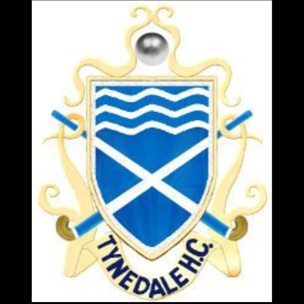 Tynedale Hockey Club Twitter Page - 2 mens teams, 1 ladies team and a thriving junior section.