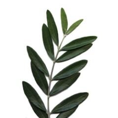 abunapaolofmly's profile picture. 