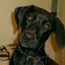 Echo Rodriguez - @EchoLovesCheese - Twitter