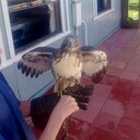 Matthew Pridemore - @powpowloc - Twitter