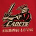 Hilton Swim/Dive (@hiltonswimdive) Twitter profile photo