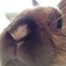 ใ ใณ evi (@evitoyagi) Twitter profile photo ใ ใณ evi (@evitoyagi) Twitter profile photo