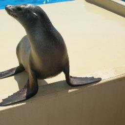 jjimis's profile picture. 