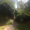 Nikki Lyon - @LyonNikki - Twitter