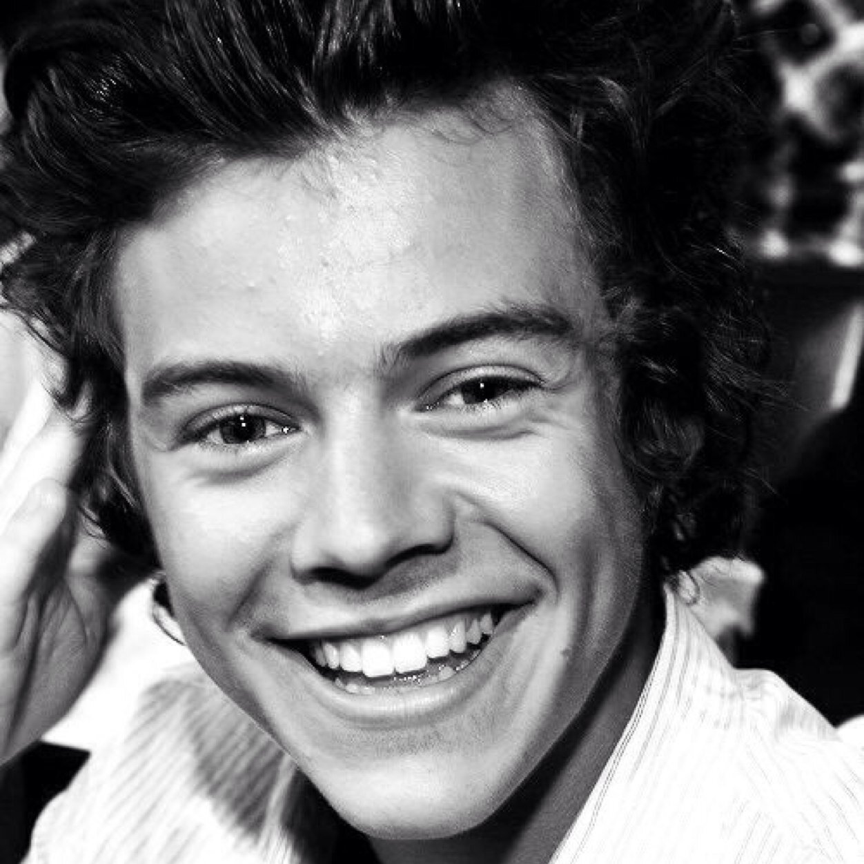 Harry Styles you perfect human being