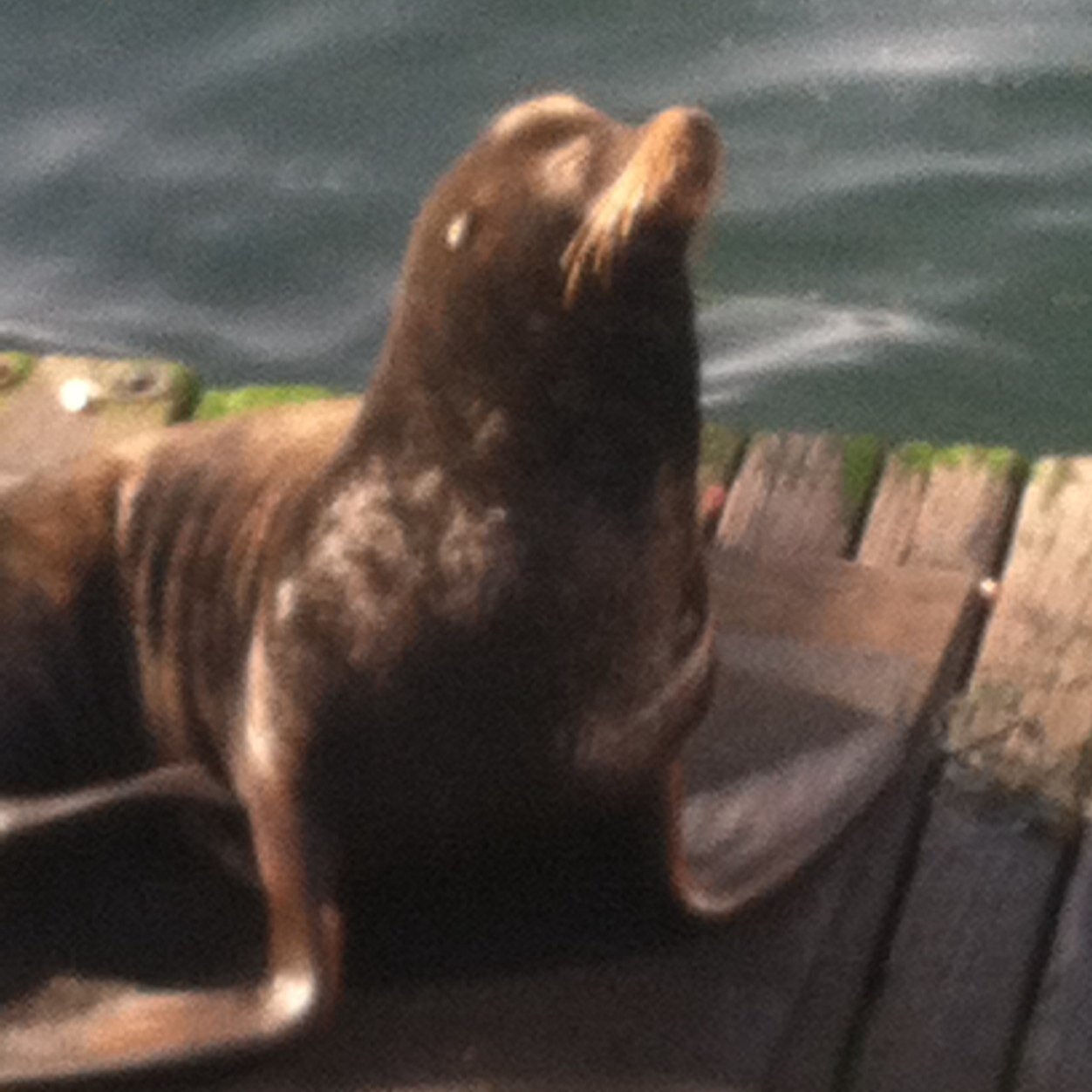 midgit1999's profile picture. 