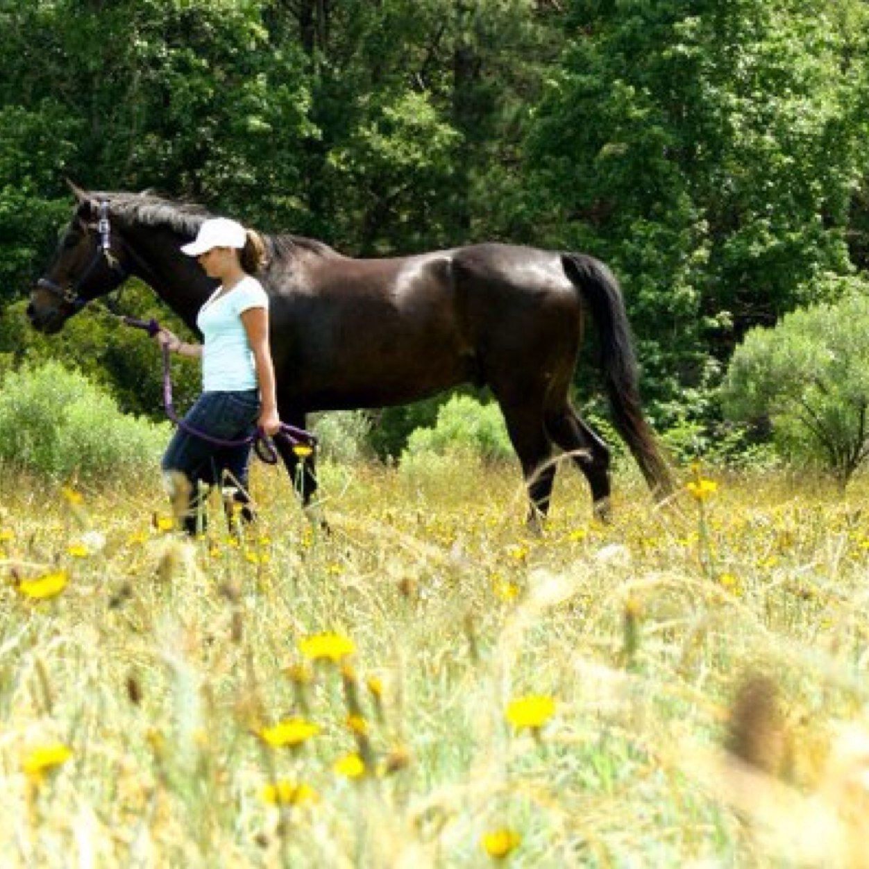 jumpingprobs's profile picture. My everyday annoyances or thoughts on / being a equestrian. WWGMD?