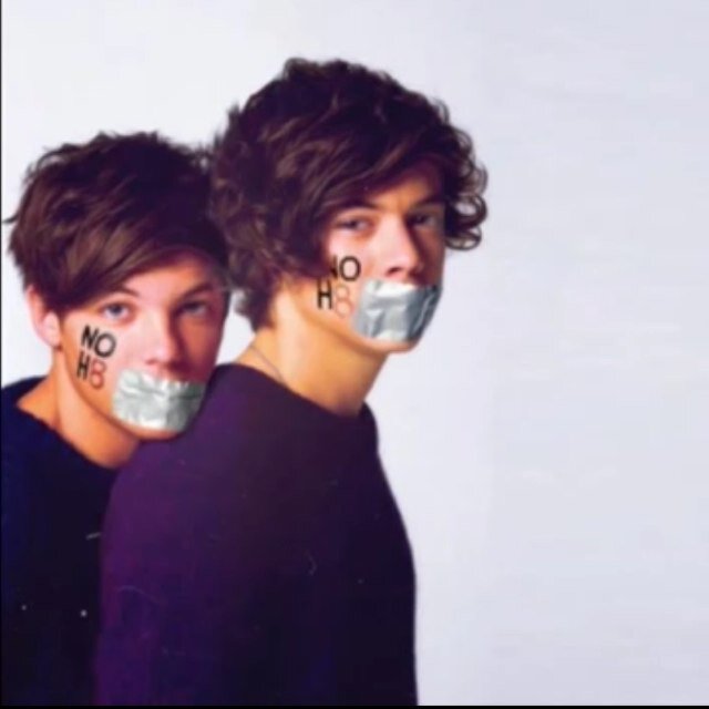 i am a harrygirl and a #1 directioner!!!!