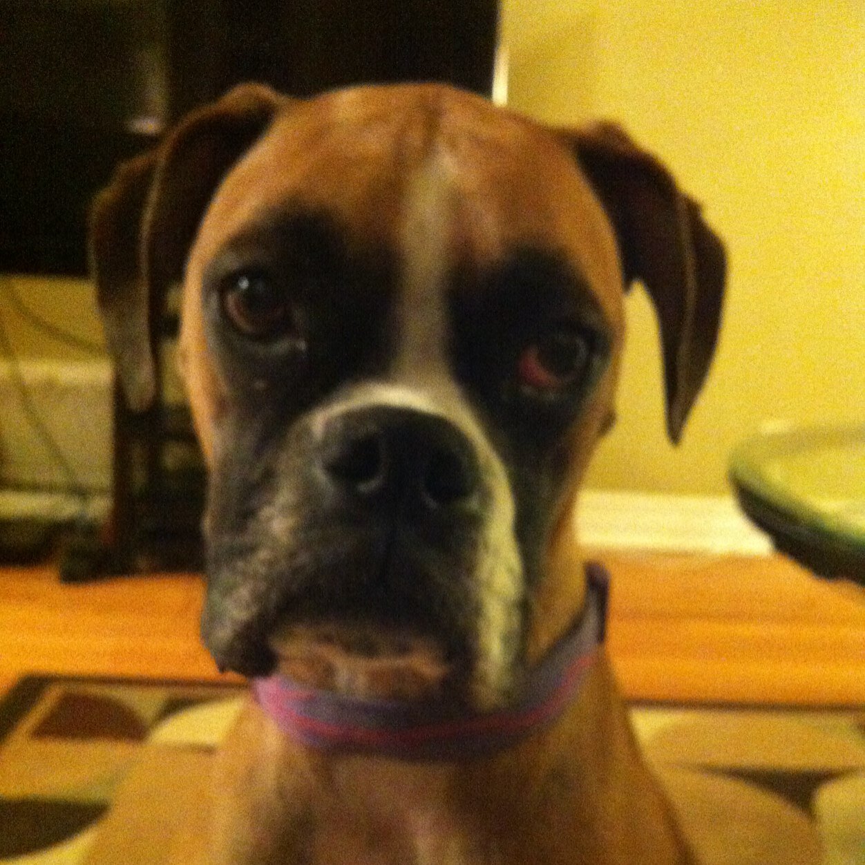 caswood63109's profile picture. 