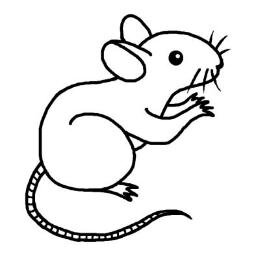 Visiting Researcher of @Hirabayashi_Lab
ウェットの研究者→ドライに転向
生物学と深層学習が専門
某ライフサイエンスAIベンチャーでエンジニア
野良研究者から片足アカデミアに戻しました
顕微鏡画像メイン
https://t.co/MBiUp7L9hF