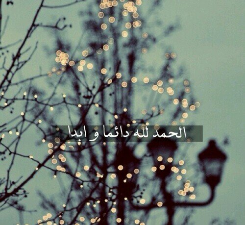 (أشهد أن لا اله الا الله وأشهد أن محمد رسول الله)
