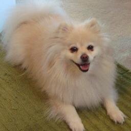 Banataurn's profile picture. 