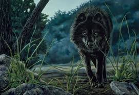 Yeah yeah the rumors are true. I hate my family! And I ran away from my pack. But that doesn't mean I'm gonna be gone forever... I'll come back like a bitch.