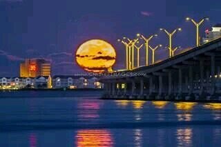 datadoc0's profile picture. 