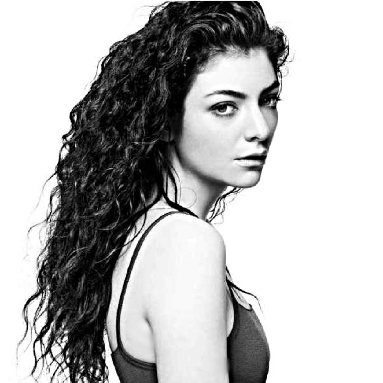 #SanFransisco49'rsFan #Lorde #OneDirectionFan #NarutoFan