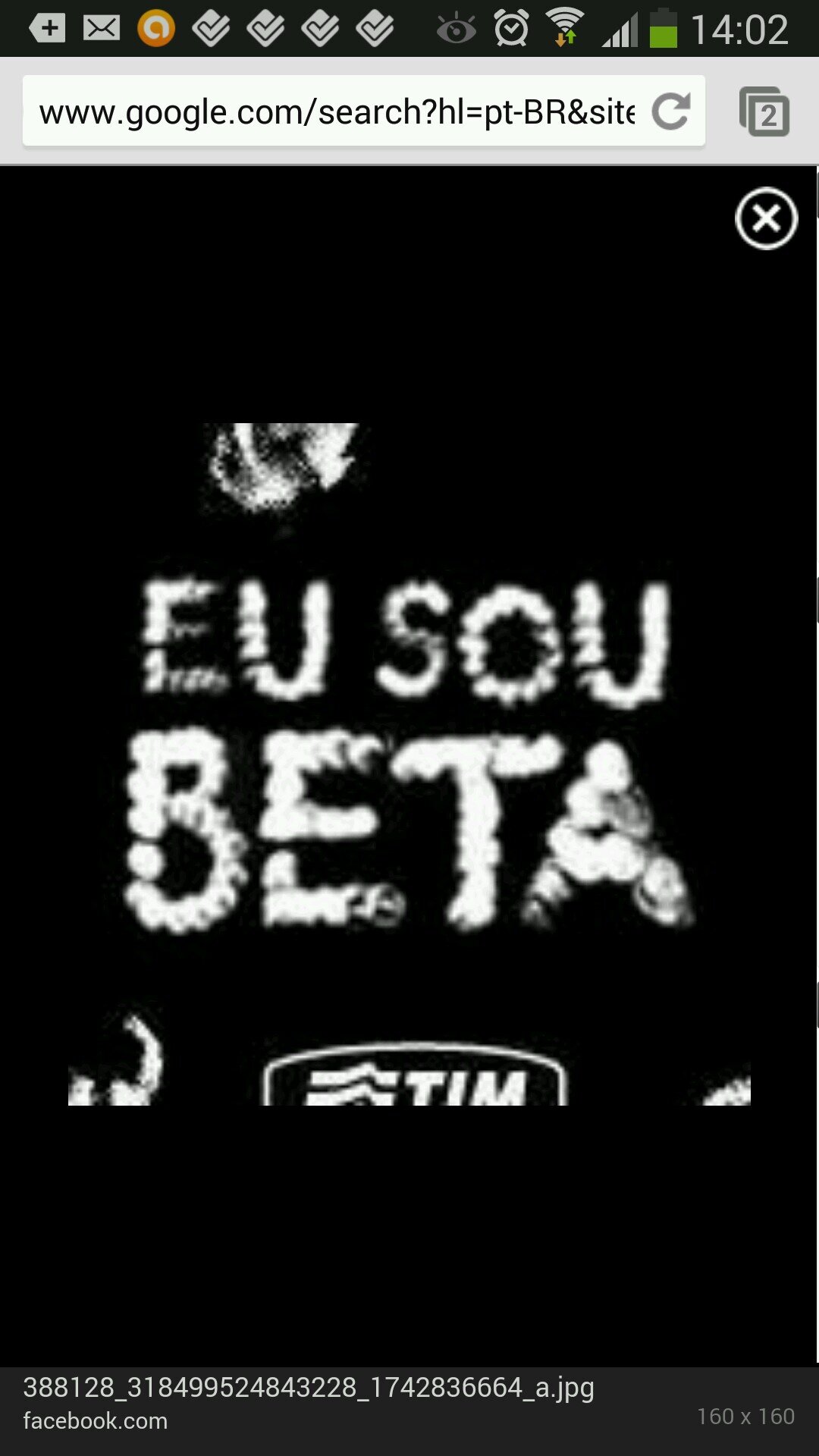 Sou beta