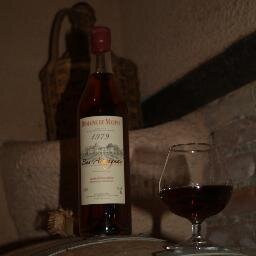5 générations de viticulteurs se sont succédées  sur nos 51 ha de vignes  plantées en  cépages blancs. Armagnac, Floc, Vin