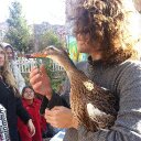 Max Lerner - @MaxLern - Twitter