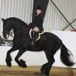 haylienicole90's profile picture. 