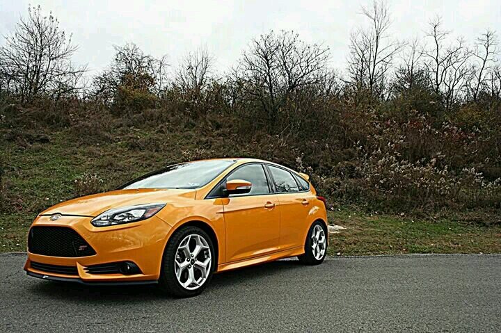 SVTsofuc's profile picture. 