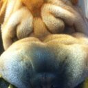 Jenna Goodrich - @jengoodo - Twitter