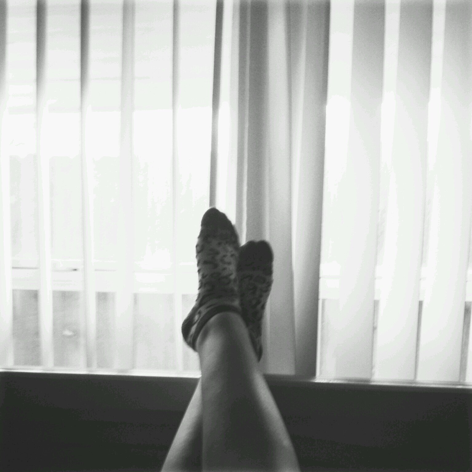 MrsHoran_352's profile picture. I'm a Directioner♡ still 0/5 after 3 years and a 7hour livestream of fangirling but hope is never lost right?