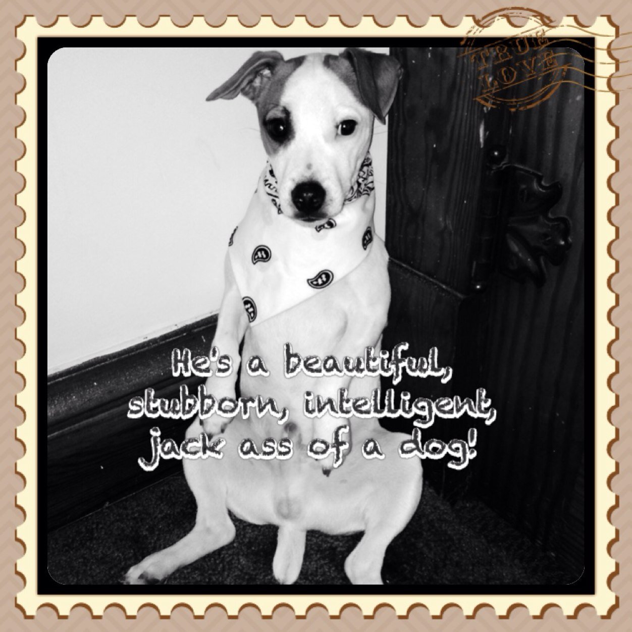 Im thankful...and I love my family incuding my dog! If you follow me i follow back!