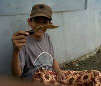 Nabilaholic