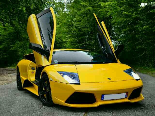 feliznavidad856's profile picture. 