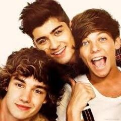 hey guys! I’m 1/5k Directioners. Just here to close my eyes and enjoy the roller coaster that is life :) x And if you follow, thank you..I Love You .xx