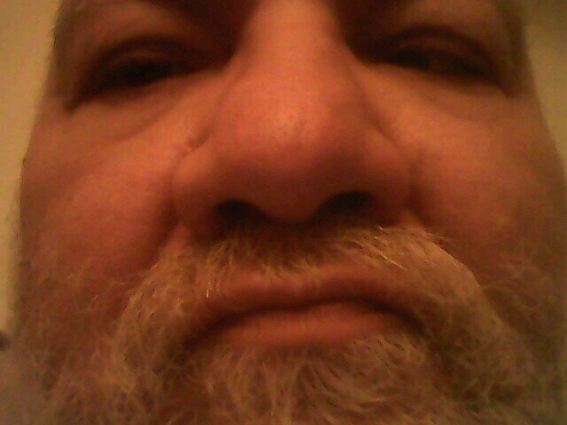 FSpelgatti1's profile picture. 