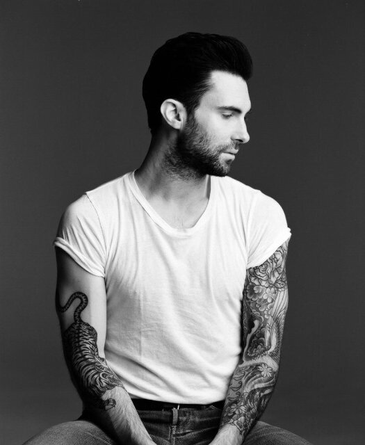 MAROON 5 ♡ The Wanted♡ Ariana Grande♡ = perfect♡ i love a lot of TV shows and celebs Adam Levine is amazing i ♥ him Carlito followed me ♡#TeamCarlito