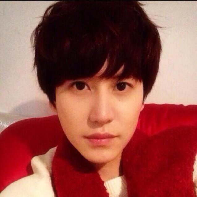 kyuhyun bot ~tic/cubie/DM~ since12,12,16