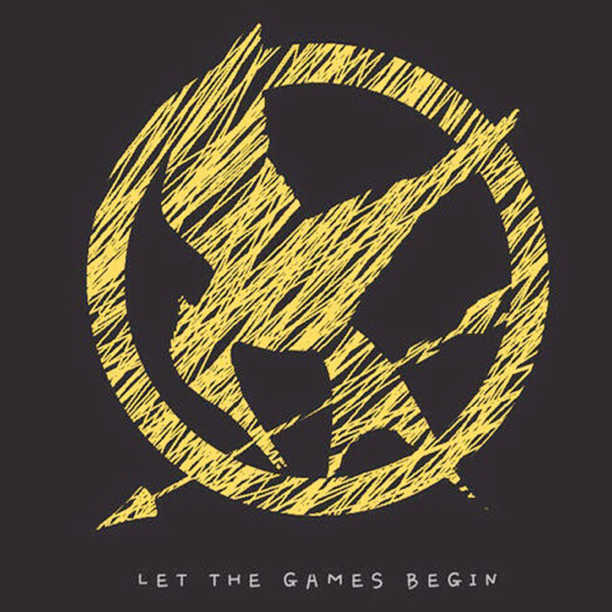 'My name is Katniss Everdeen. I am 17 years old. My home is District 12. I was in the Hunger Games. I escaped. The Capitol hates me.' ~Mockingjay {RP}