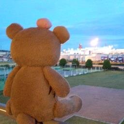 カメラ好きなのに、そんなにカメラ撮影出来てない怠け者。
大洗で赤いポロシャツ着てるボランティアイベンター。
本業は技術職。

ファンシーなぬいぐるみ愛好家。
しろたんとかカナヘイとかコウペンちゃんとかサメとか。