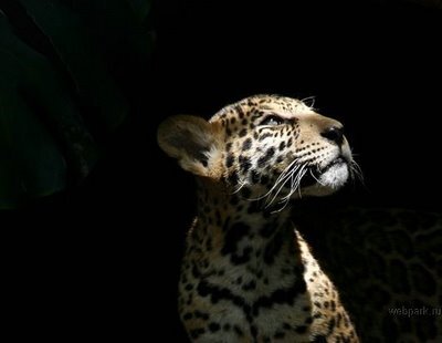 Trekking, Photography and Travelling
