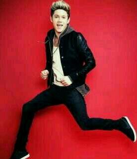 Flipping through the pages I've written in my memory Secretly dating @NiallOfficial :)