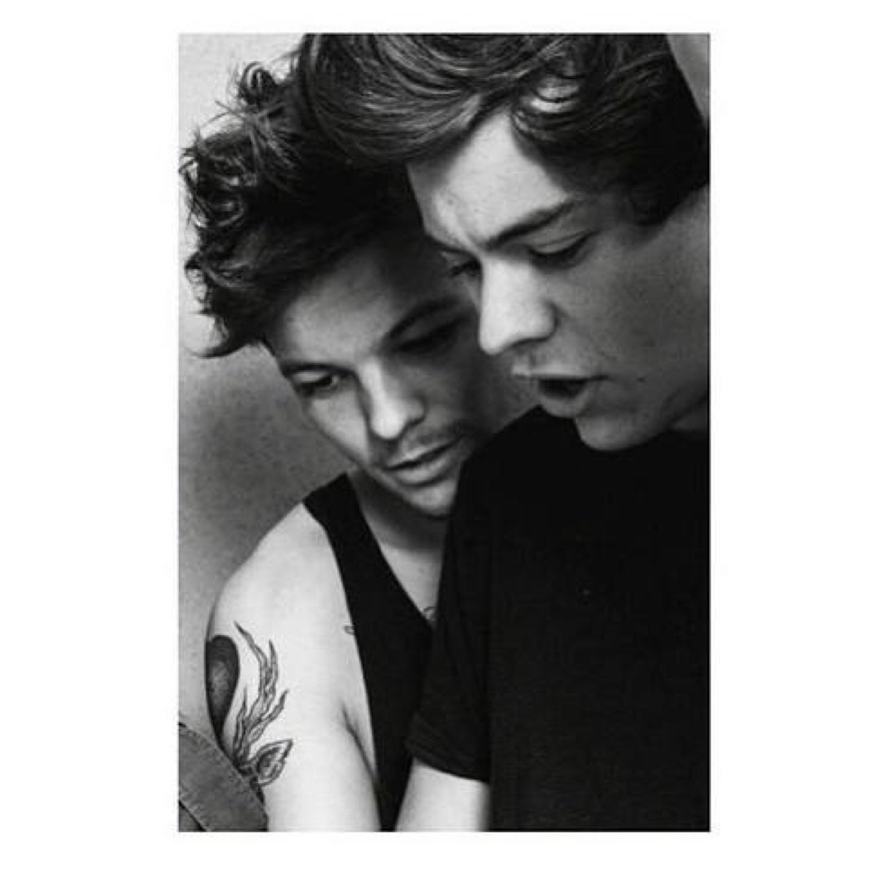 Hii i just gave you a free follow so please follow @groaninglarry bc she follows back :)